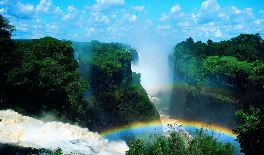 safari in Victoria Falls