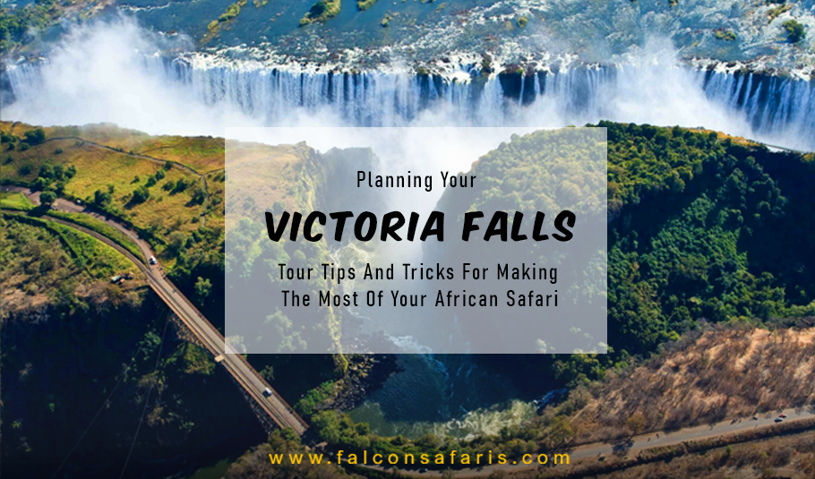 Unlocking Beauty of Victoria Falls Tours Expert Tips for Your Safari