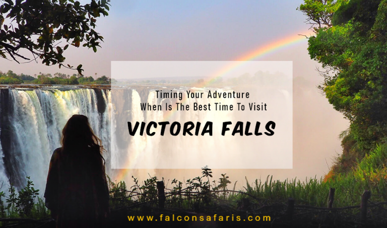 Best Time To Visit Victoria Falls - Timing Your Adventure