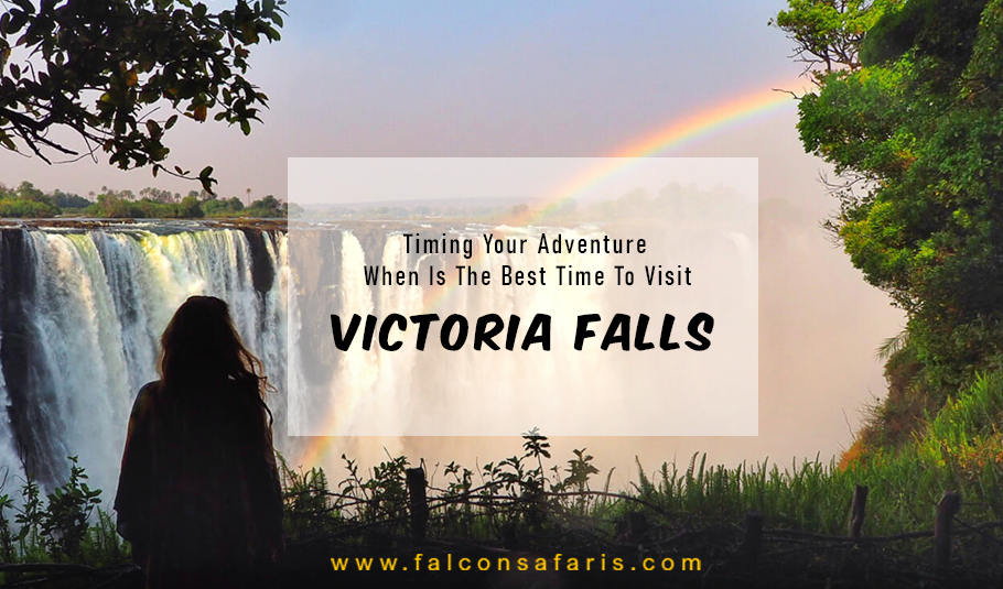 Best Time To Visit Victoria Falls 