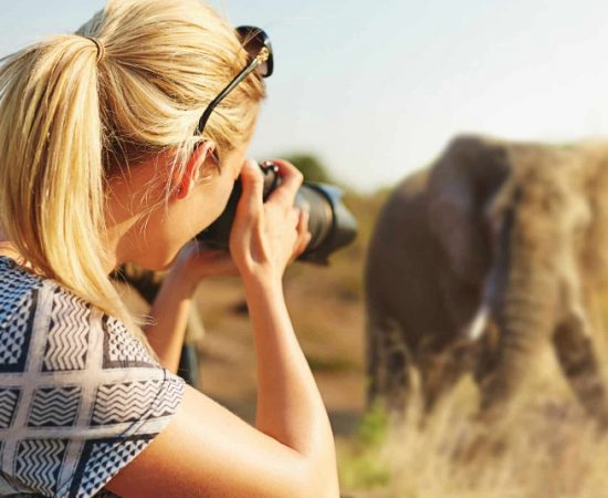 Botswana Photographic Safari