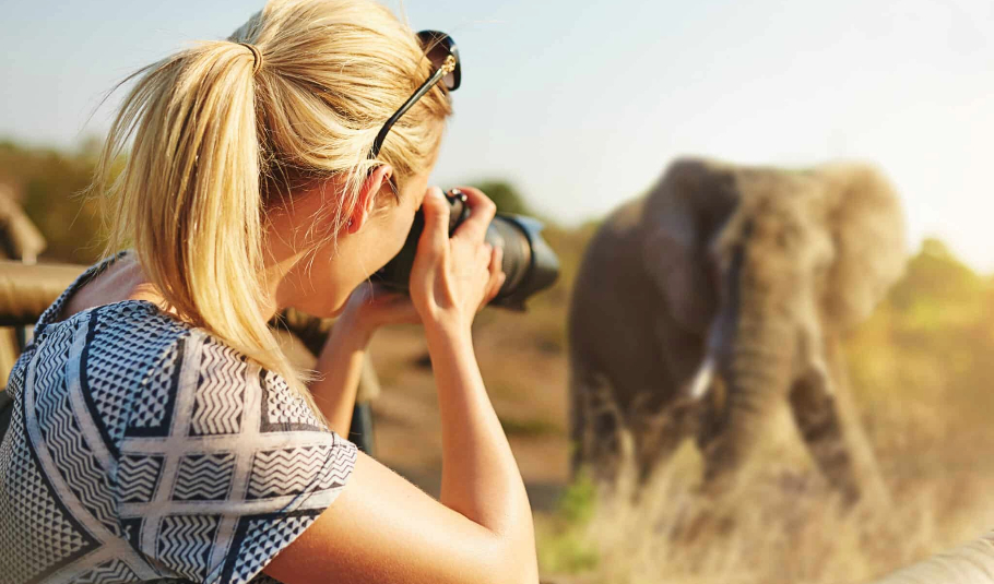 Botswana Photographic Safari