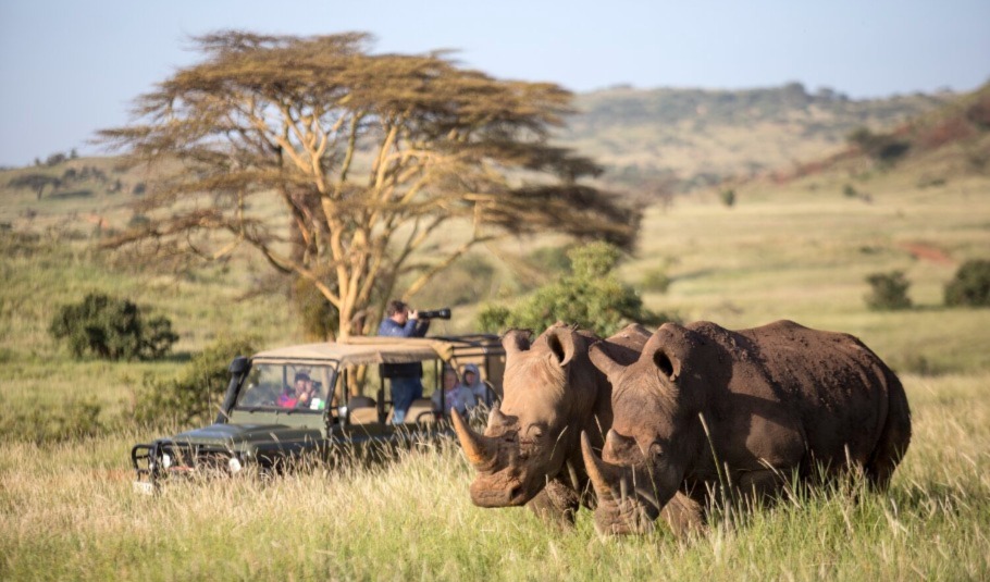 Botswana Safari Tour