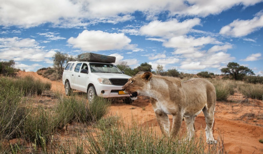 Self-Drive Safari in Botswana