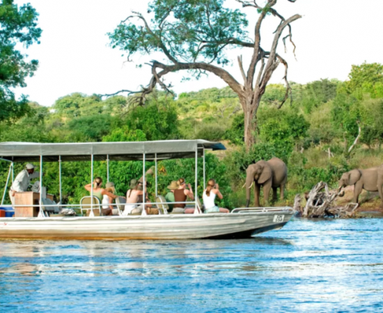 Botswana-Luxury-Safari