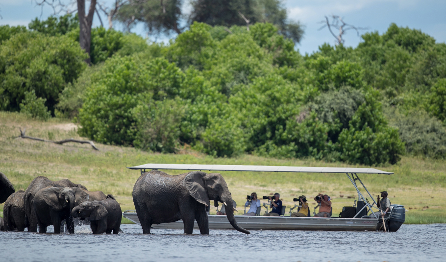 Chobe National Park