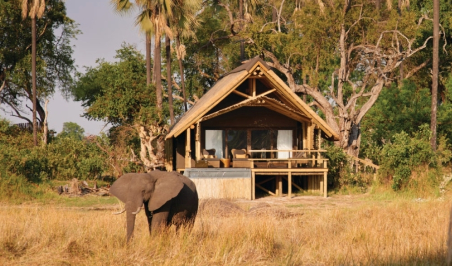 Botswana Safari Camps