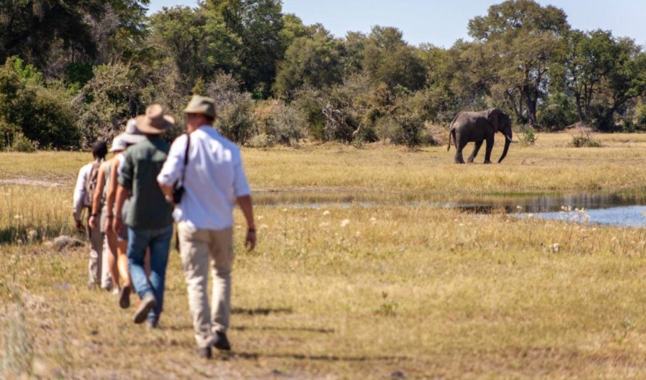 Botswana Walking Safaris