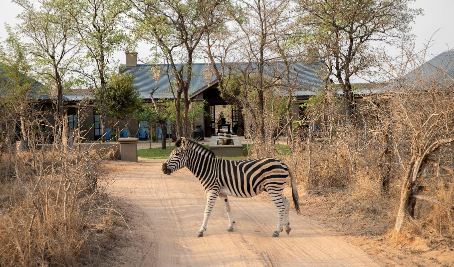 Botswana Wildlife