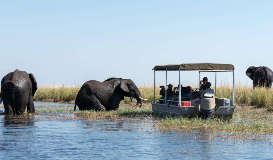 Chobe National Park