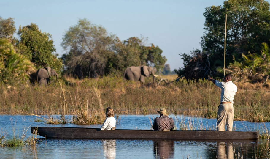 Safari in Botswana