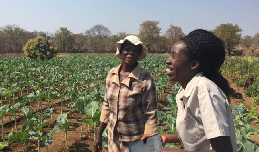 Victoria Falls Local Community 