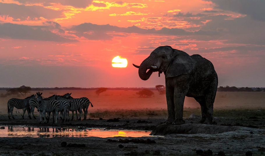 Best Time To Visit Botswana