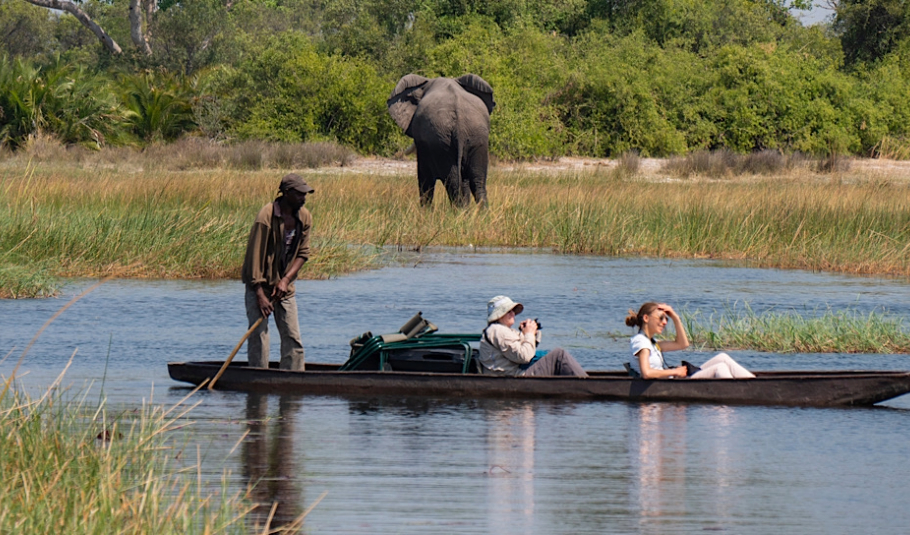 Best Time for Botswana Safari Vacations