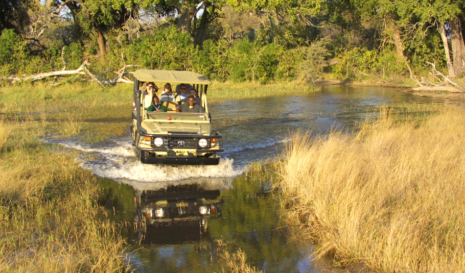 Best Time to Visit the Okavango Delta