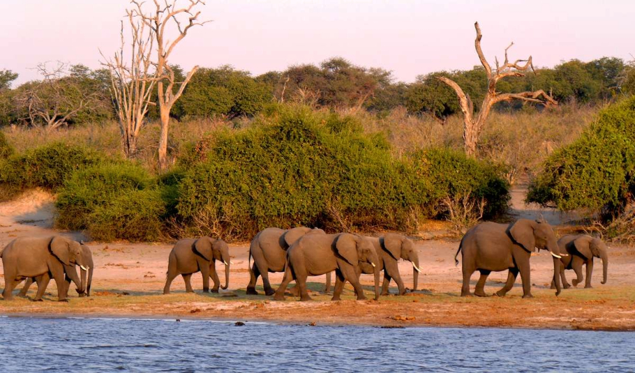 Best Time To Visit Botswana