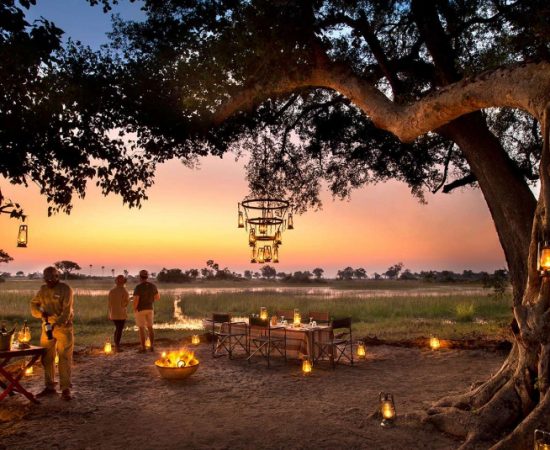 Botswana Honeymoon Safari