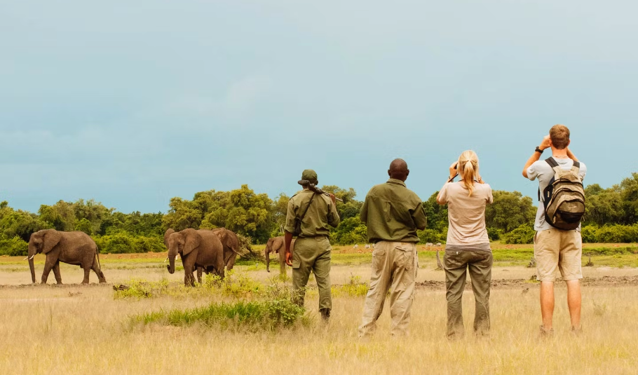 Botswana Safari Packing List