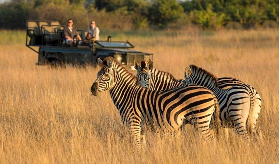Botswana Safari Tours