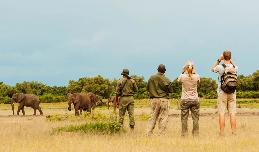 Botswana Walking Safari