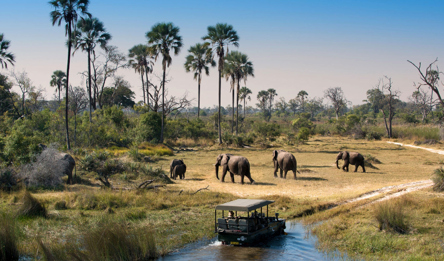 Chobe National Park Holidays