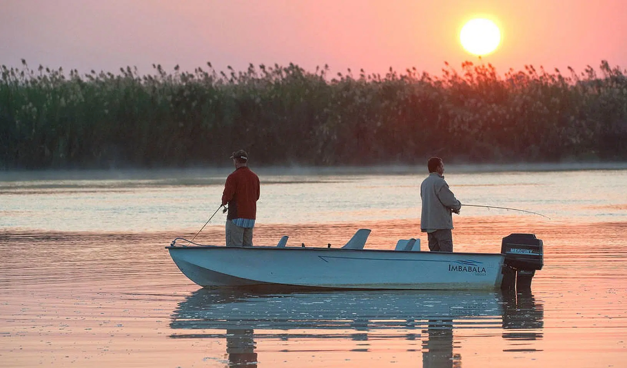 Chobe River