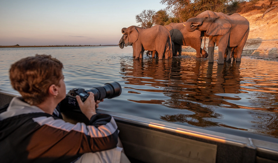 Chobe Wildlife Safari