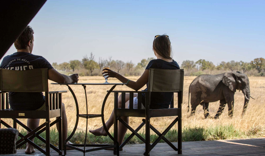 Honeymoon Safari in Botswana