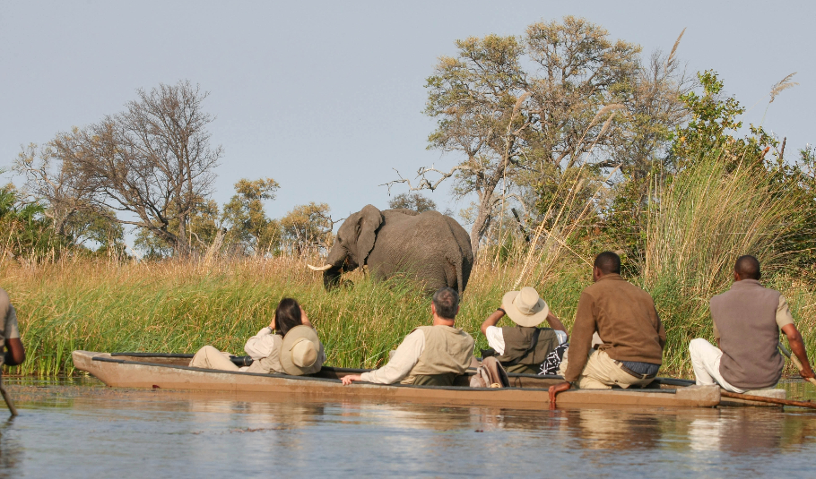 Mokoro Safari In Okavango Delta