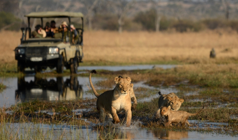 Okavango Delta Game Drive Safari