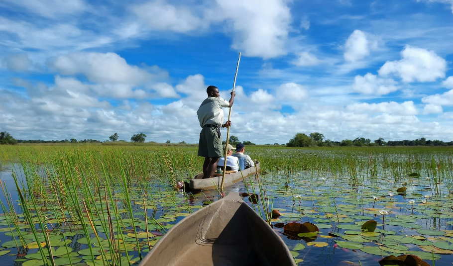 Okavango Delta Mokoro Tour