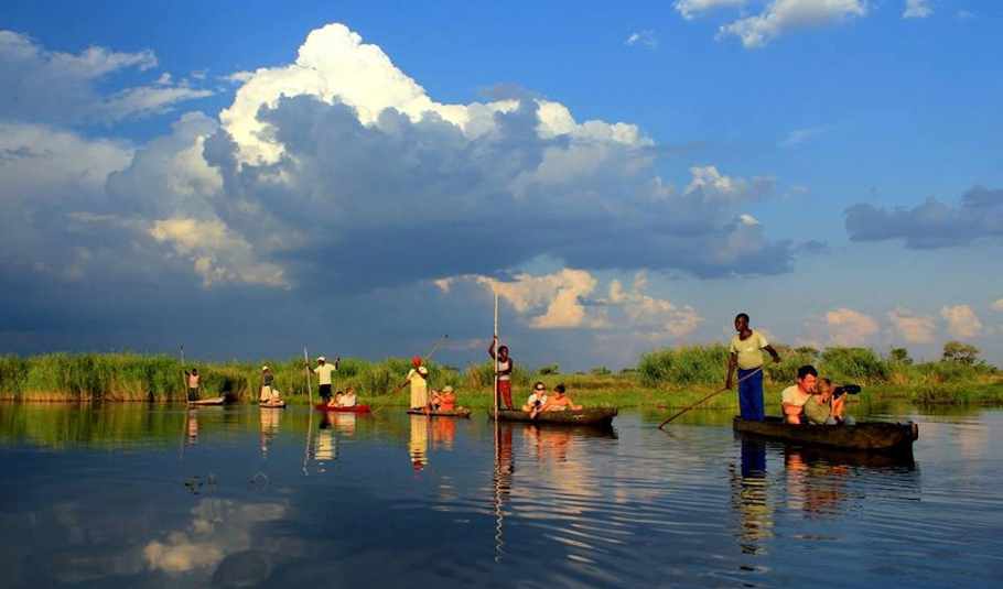 Okavango Delta Safari