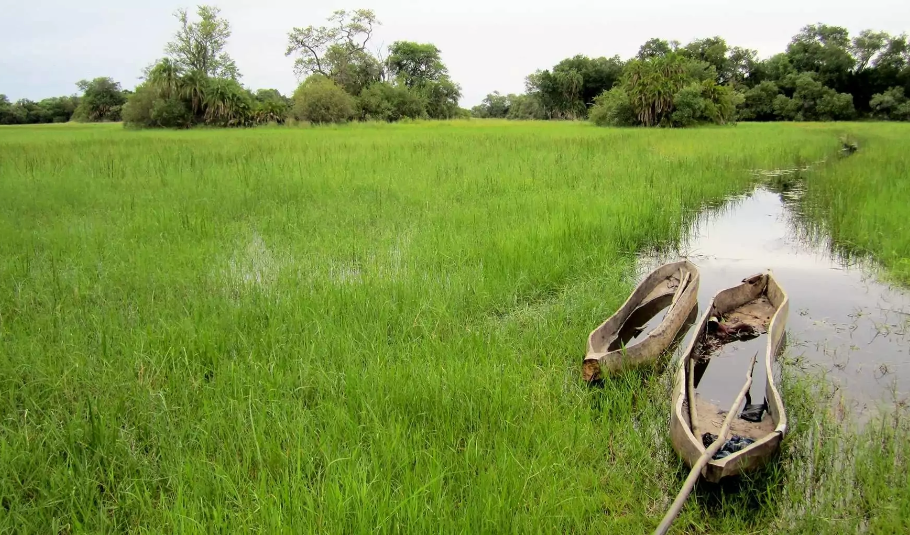 Best Time Of Year For Safari In Botswana