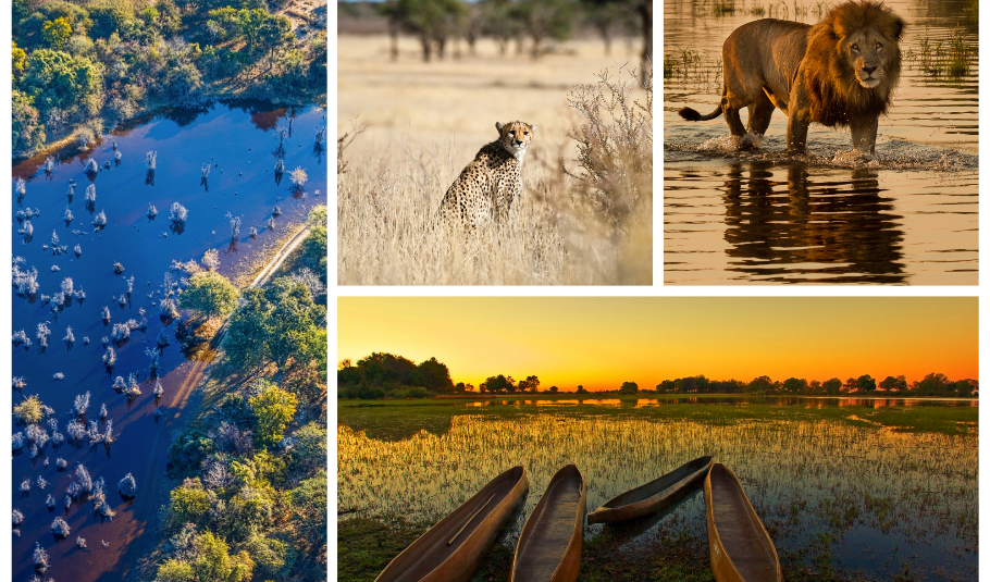 Okavango Delta Tours
