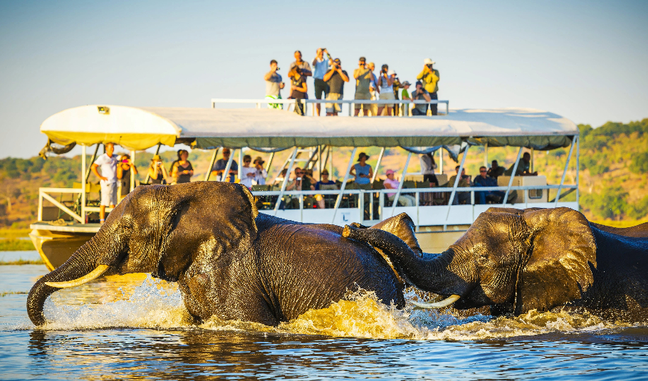The Best Time To Cruise The Chobe River