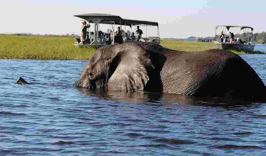 Things To Do In And Around Chobe National Park