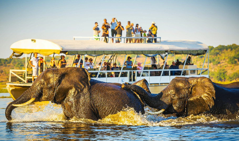 Things-To-Do-In-Chobe-National-Park
