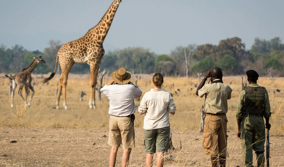 Walking Safaris in Botswana