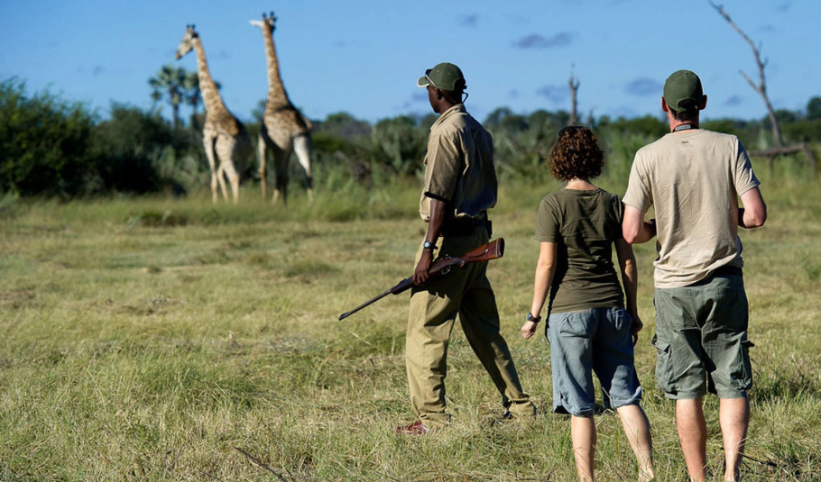 Walking safaris In Okavango Delta