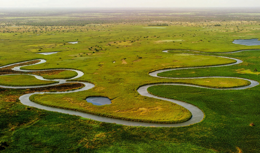 Okavango Delta Tours