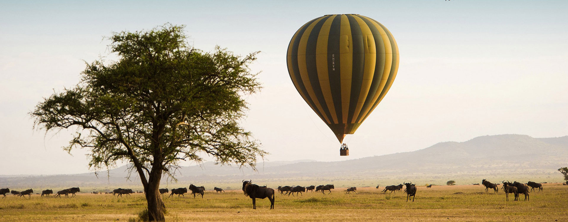 Serengeti Ballon Safari in Tanzania