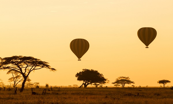1 Day Serengeti Ballon Safari in Tanzania