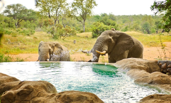 10 Day Kruger Park Safari and Mozambique Beach Holiday