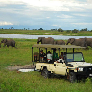 Botswana Self-drive SUV Safari