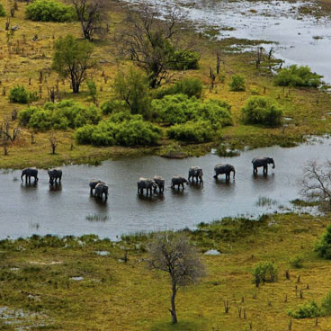 11 Day African Wildlife Adventure