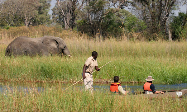 10 Days Victoria Falls & Botswana Honeymoon Safari