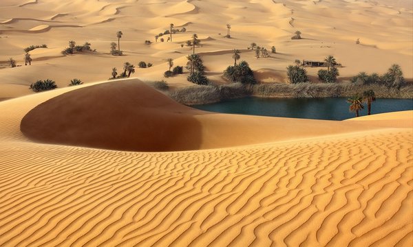 11 Day Dust of Beautful Africa
