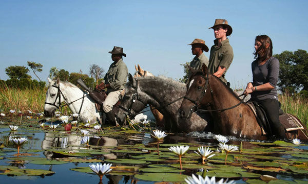 11 day Okavango Horseback Safaris