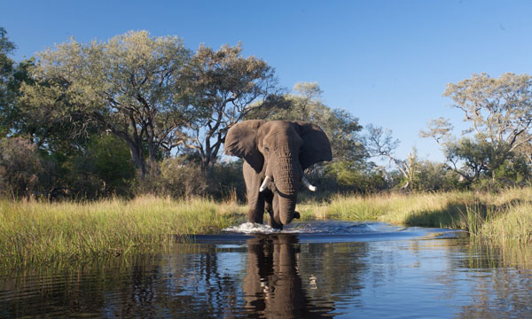 12 Day Lower Zambezi National Park