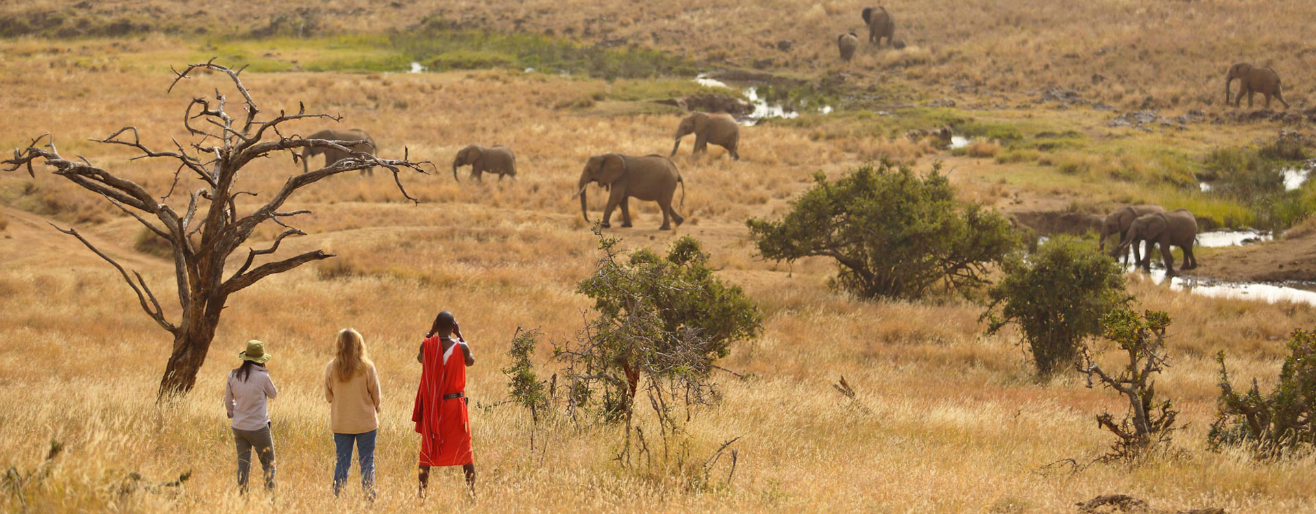 12 Day Maasai Mara and Seychelles Island